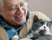 Senior Pet Care